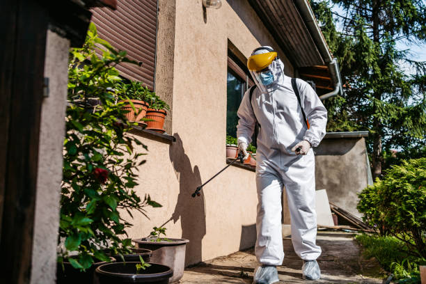 Best Affordable Pest Control Services  in Valparaiso, FL