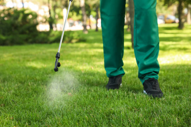 Best Residential Pest Control  in Valparaiso, FL