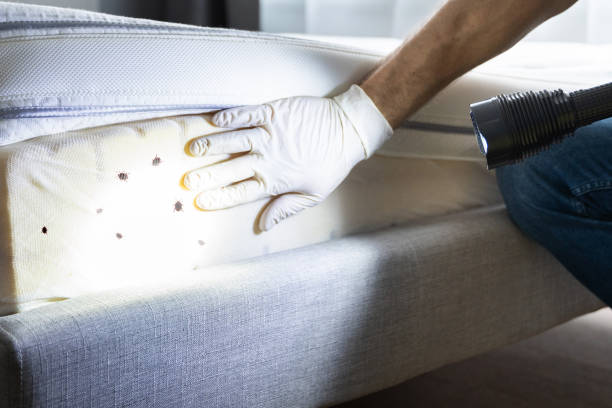 Best Insect Control  in Valparaiso, FL