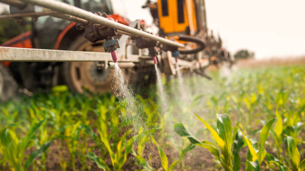 Best Pest Control for Businesses  in Valparaiso, FL